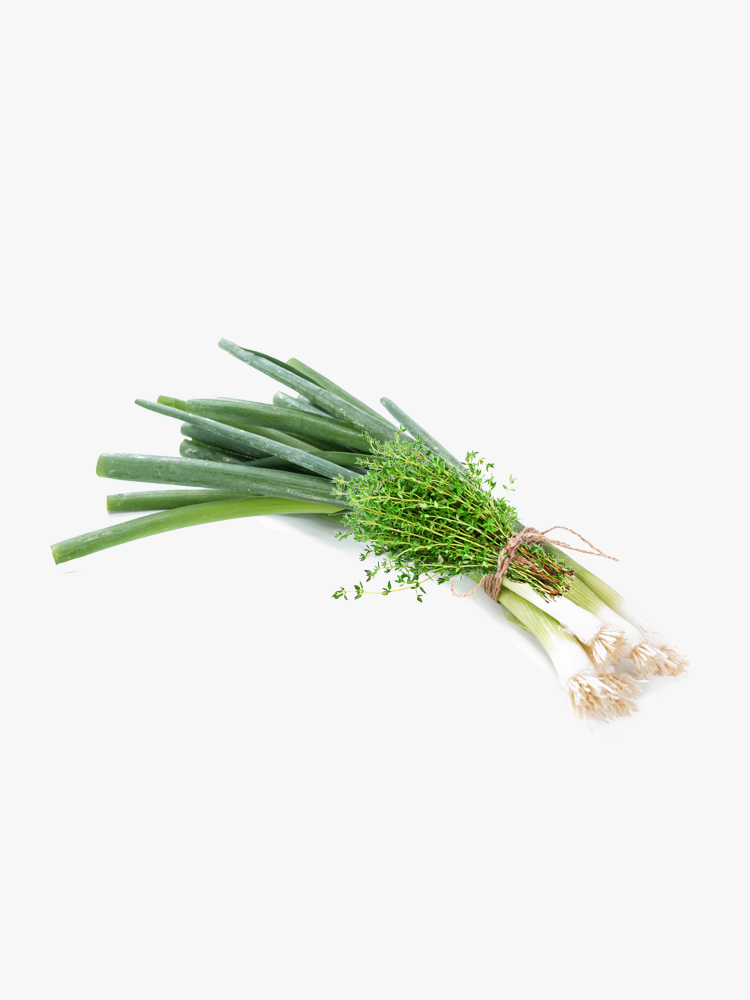 Scallion & Thyme