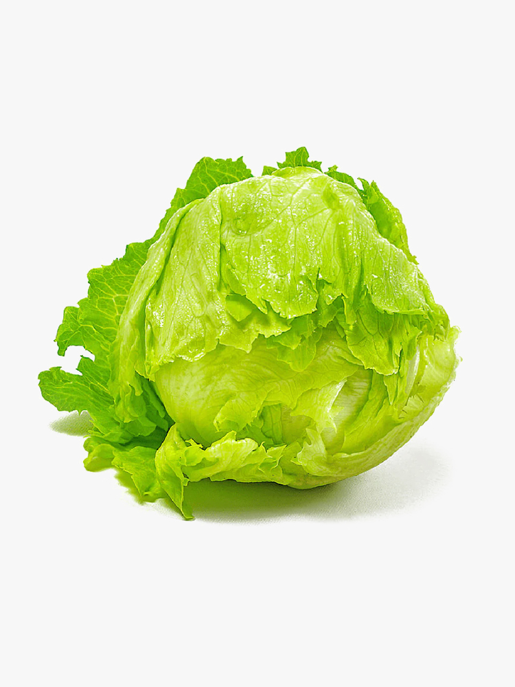 Lettuce