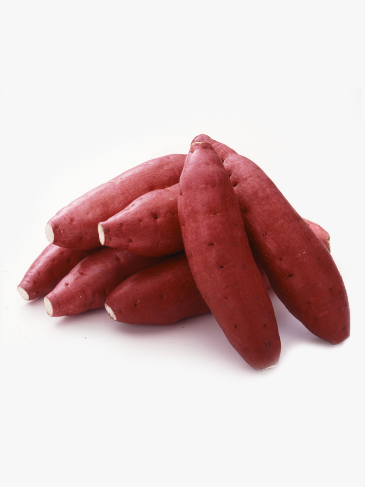 Sweet Potato