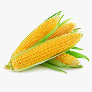 Corn