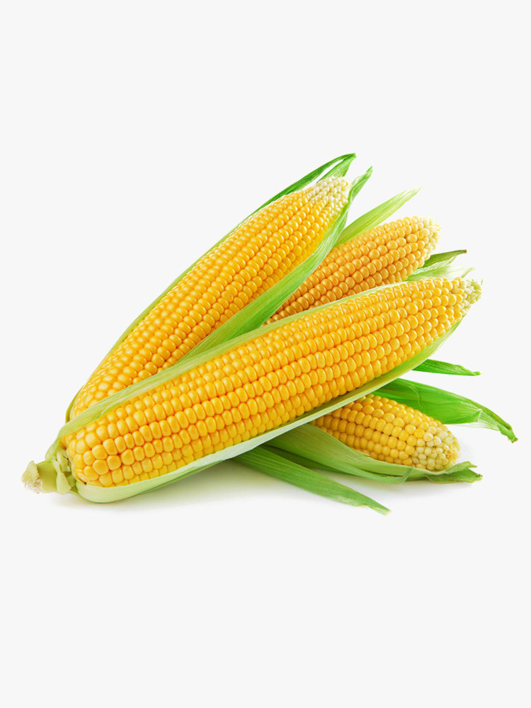 Corn