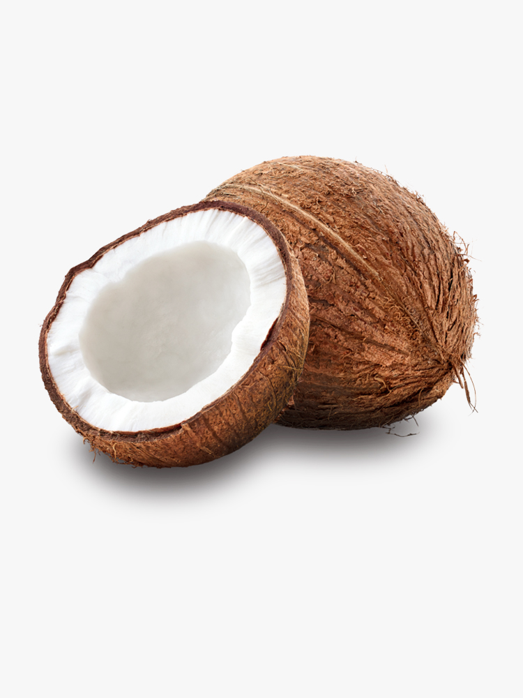 Dry Coconut