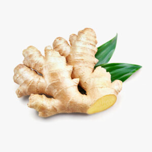 Ginger