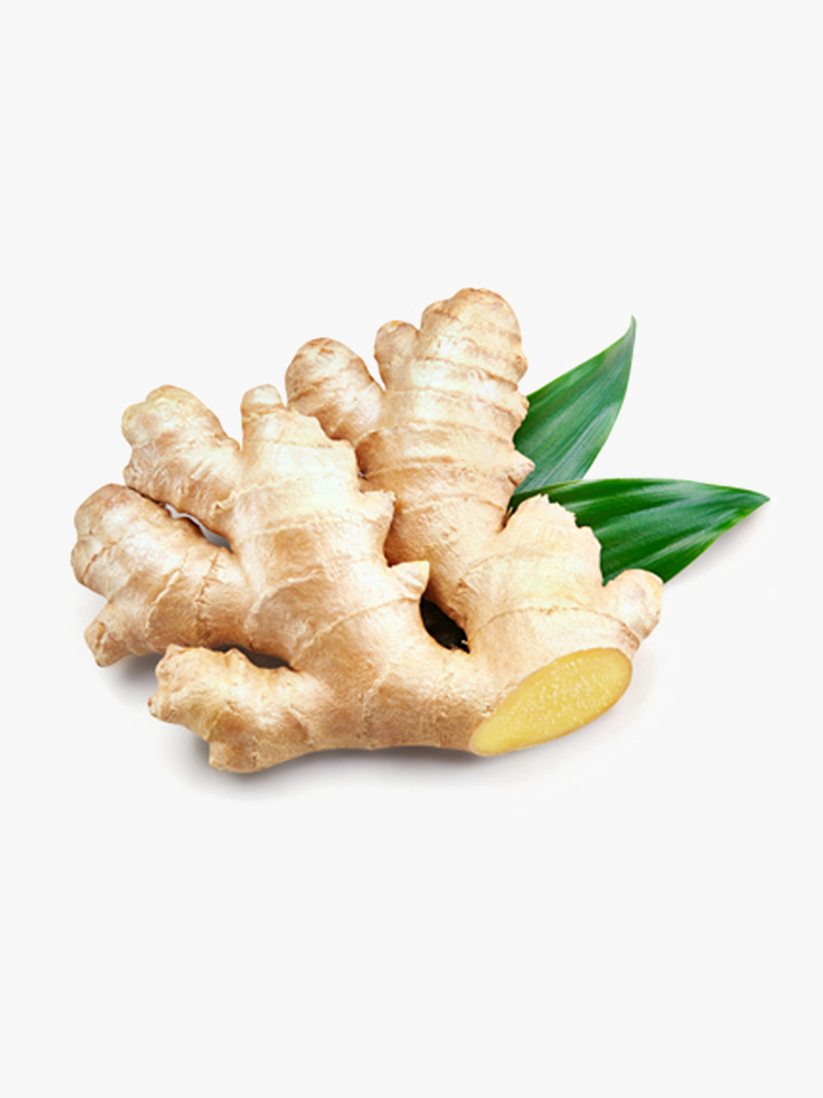 Ginger
